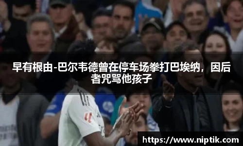 星空xingkong官方网站